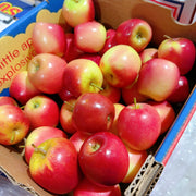 Fruit at UMall Australia