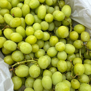 All Fruit at UMall Australia