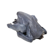 New Arrivals at UMall Australia