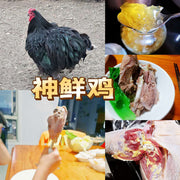 All Meat at UMall Australia