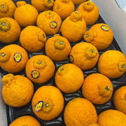Fruit at UMall Australia