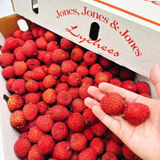 All Fruit at UMall Australia