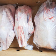 All Meat at UMall Australia