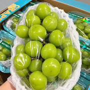 Bán chạy nhất at UMall Australia
