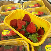 All Fruit at UMall Australia