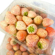 All Fruit at UMall Australia