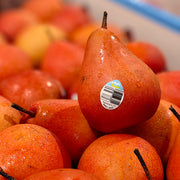 Bán chạy nhất at UMall Australia