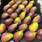 All Fruit at UMall Australia