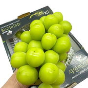 All Fruit at UMall Australia