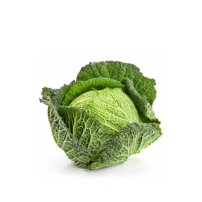 Cabbage Savoy Half
