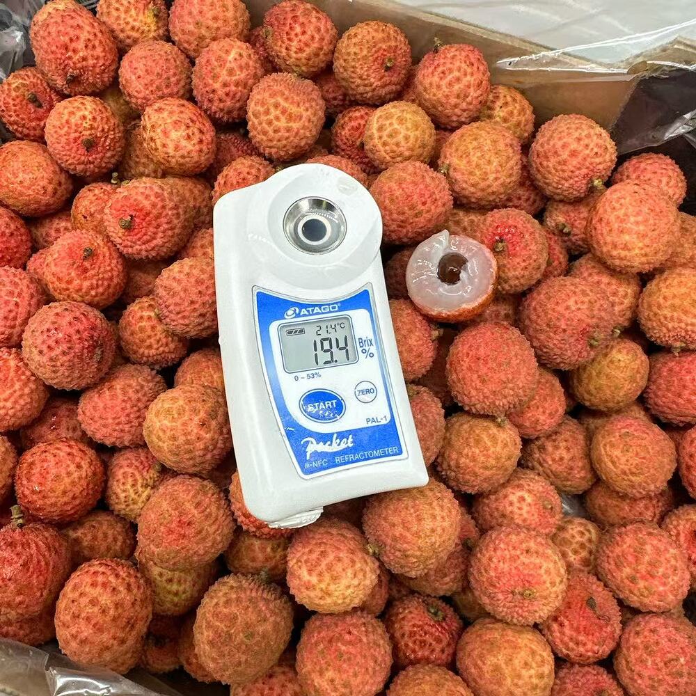 kmp-guiwei-lychee-whole-carton-approx-5kg-2