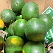 All Fruit at UMall Australia