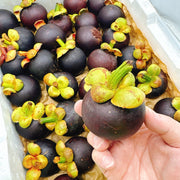 Fruit at UMall Australia