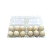 Best Sellers at UMall Australia