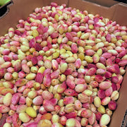 All Fruit at UMall Australia