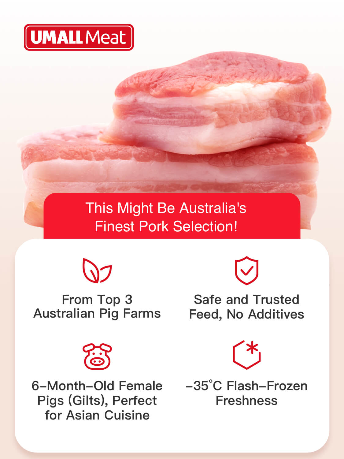 Pork Spare ribs 500g