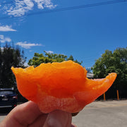 All Fruit at UMall Australia