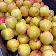 All Fruit at UMall Australia