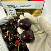 All Fruit at UMall Australia
