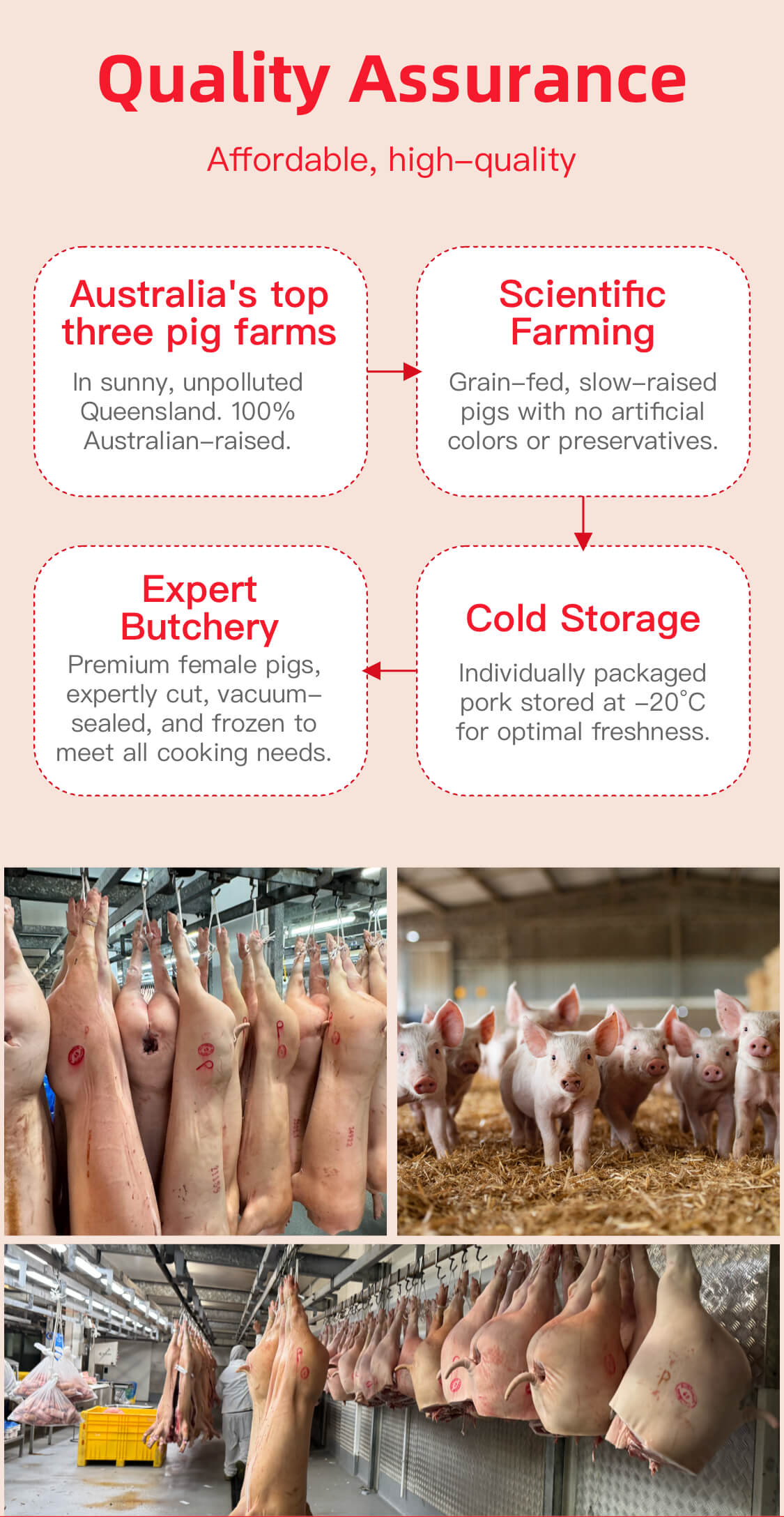 Pork Intestines 500g
