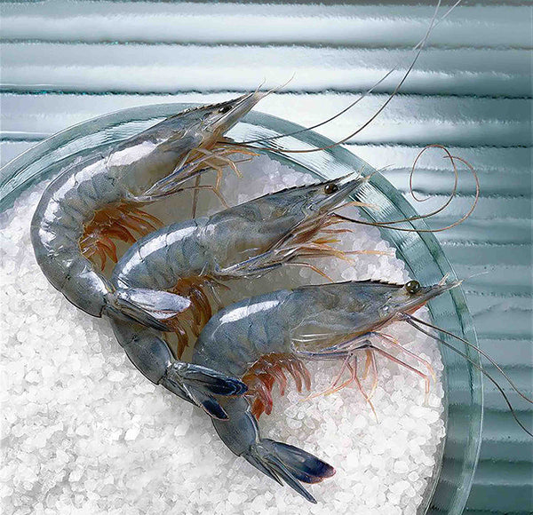 Cristal Blue Frozen Paradise Shrimp Sashimi Grade Gift Box - Size 31/40, 1kg