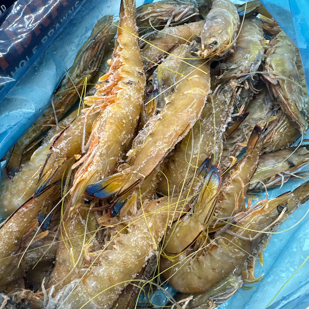 Tarni Brand Sashimi Grade King Raw Prawn Size 16/20 (Whole Box) - 1kg
