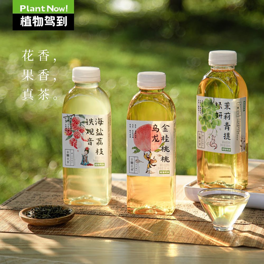 Zhiwu-Jiadao-Sugar-Free-Sea-Salt-Lychee-Tieguanyin-Oolong-Tea-500ml-x-15-–-Zero-Sugar-Lychee-Oolong-Drink-3