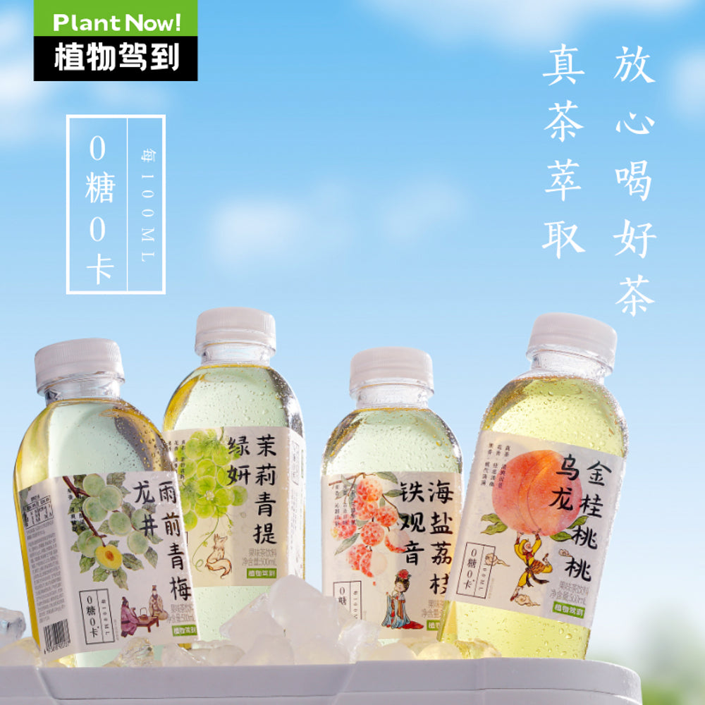 zhiwu-jiadao-jasmine-pomelo-lemon-dancong-tea-drink-500ml-x-15-bottles-3