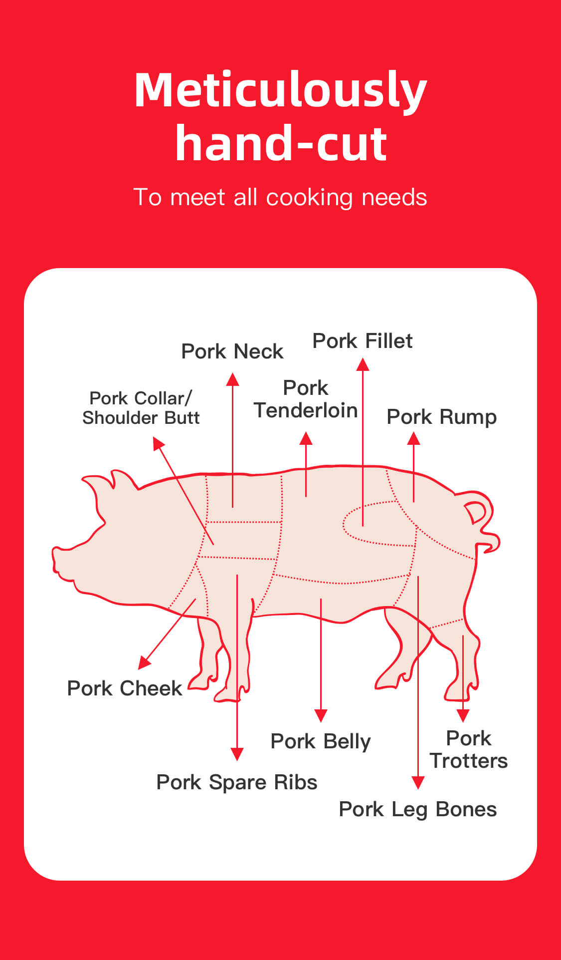 Pork Soft Bone 1kg