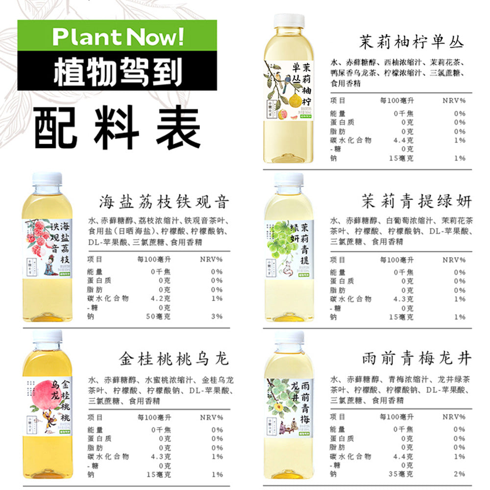 zhiwu-jiadao-jasmine-pomelo-lemon-dancong-tea-drink-500ml-x-15-bottles-4