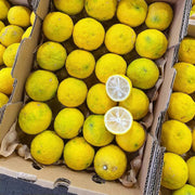 All Fruit at UMall Australia