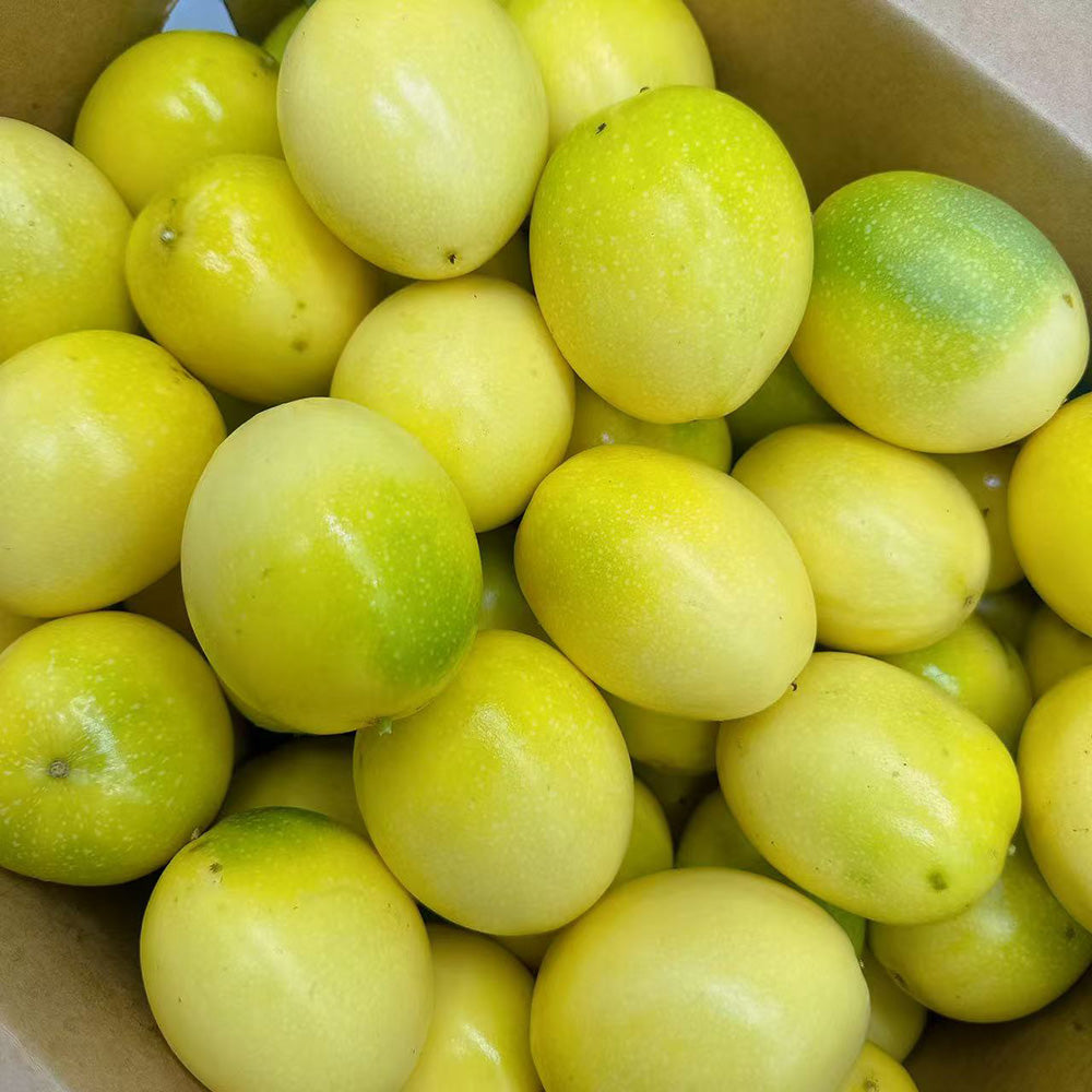 Golden Passion Fruit - 3 Pieces-1