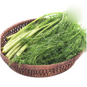 Bán chạy nhất at UMall Australia