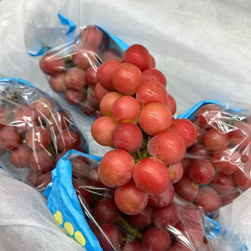 queen-nina-grapes-1-bunch-approx-700-800g-2
