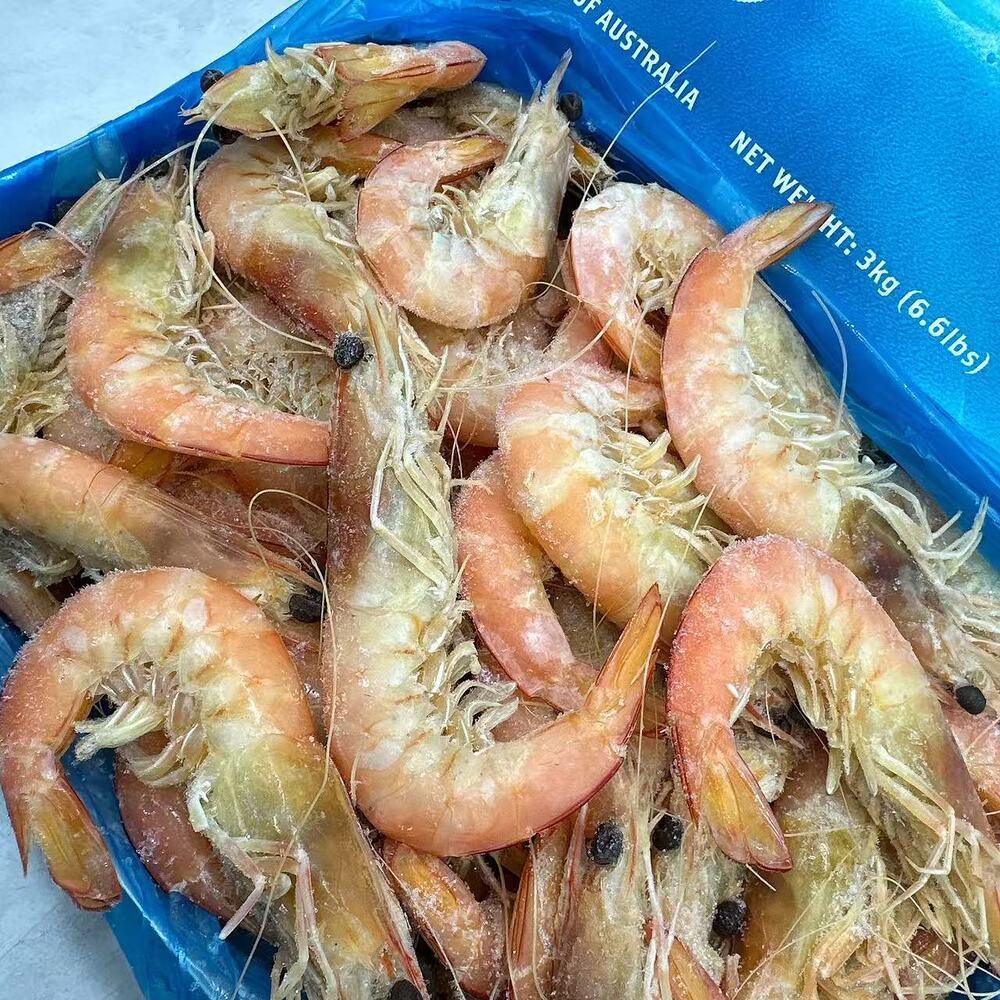 tarni-brand-frozen-sashimi-grade-cooked-king-prawns-u20-3kg-carton-2