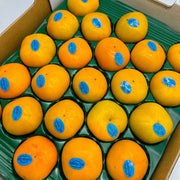 All Fruit at UMall Australia
