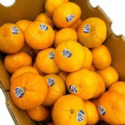 Xu hướng 24h at UMall Australia