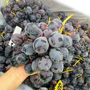 All Fruit at UMall Australia