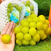 All Fruit at UMall Australia