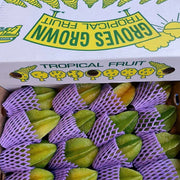 All Fruit at UMall Australia