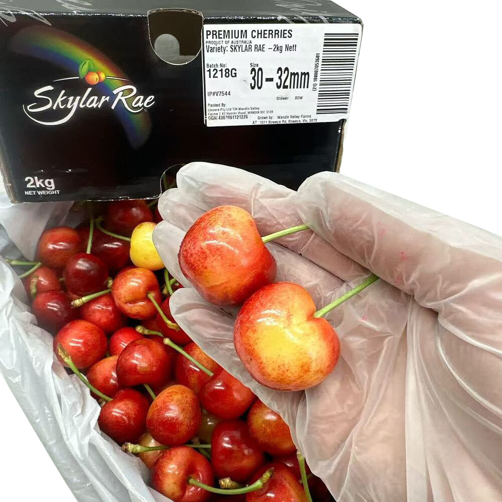 skylar-rae-white-cherries-30-32mm-gift-box-approx-2kg-4