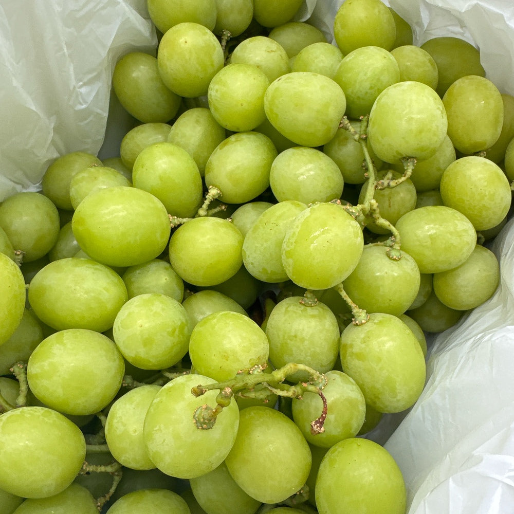 Kyoho-King-Shine-Muscat-Grapes---Box-of-2kg-1