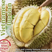 Made in Vietnam at UMall Australia