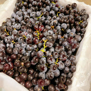 All Fruit at UMall Australia