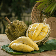 Tropical & Exotic Fruit at UMall Australia