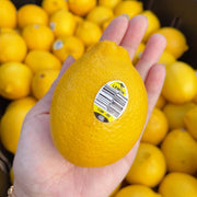 All Fruit at UMall Australia