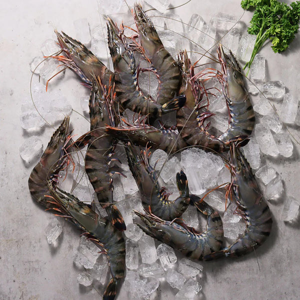 Tassal Frozen Australian Raw Black Tiger Prawns XL Size 10/15 - 500g [Limit 1 PP]