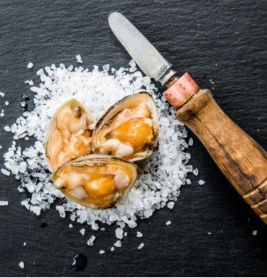 Cloudy-Bay-Diamond-Shell-Clams-–-New-Zealand-Surf-Clams-1kg-2