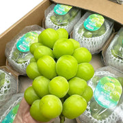 All Fruit at UMall Australia