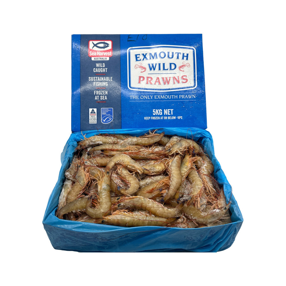 Exmouth-Wild-Caught-Prawns-(Frozen)-U10/20-–-Approx.-500g---Head-On,-Shell-On-3